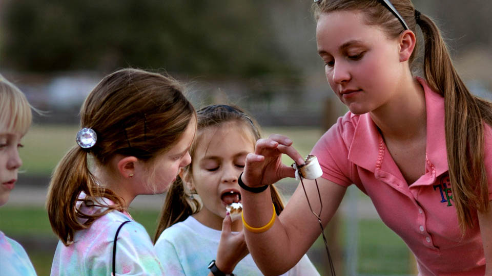 serval and caracal encounter